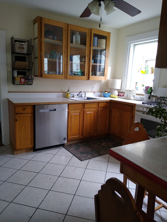 Kitchen 2 - Spacious****Sun filled***Davis Square***Redline***Roommate/Share Apartments