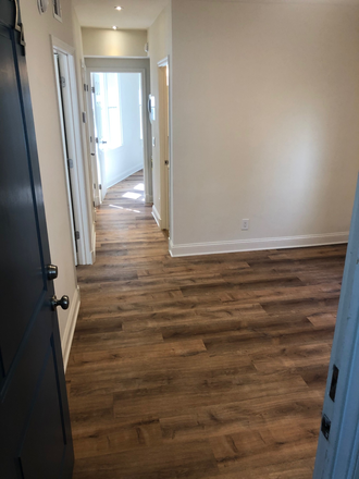 Living Room - 4240 39th Street NW - AU / Tenleytown Apartments