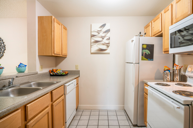 Kitchen - Knights Circle 4*4 Female Apartment (Summer Lease)