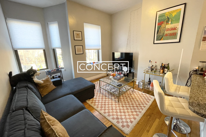 469 Mass Ave #3 - [9.1.2025] Modern condo quality 3 beds /1 bath [SOUTH END]