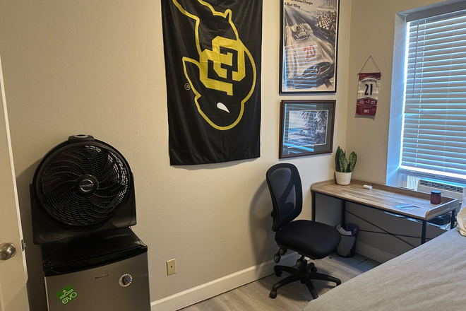 Mini fridge & desk - Spring Sublet - 1044 Pleasant - OBO House