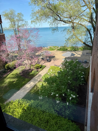 View from Living room window - Chase on the Lake - 1 bedroom 800sf fully furnished & newly renovated. Flexible lease plans