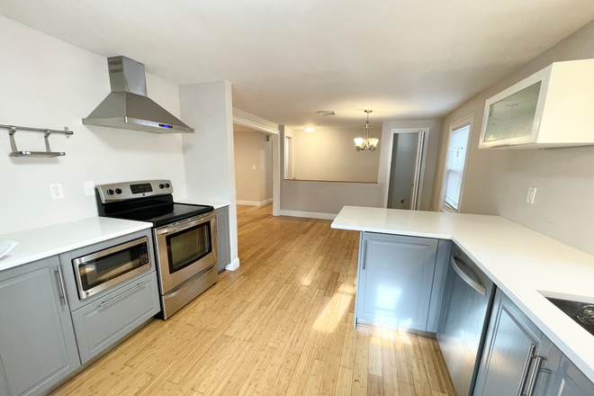 Kitchen - Room Rental | 114 Buttonwood Street | Spacious 7 BR Condo