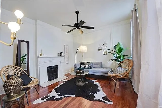 Living room - Cute, Spacious 1BR Near Tulane & Audubon Park – W/D, Backyard, Owner-Occupied