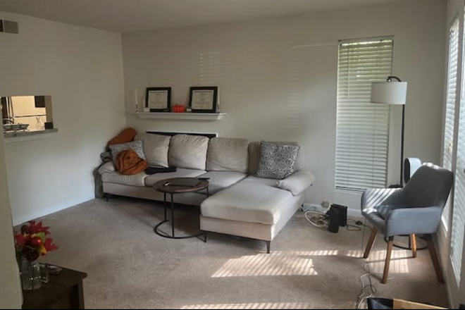 Living Room - 1 Bed Room Apartment