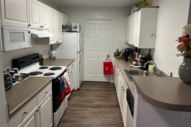 Kitchen - UMD Courtyards Graduate Student 2Bed 2Bath January 2026 Apartments