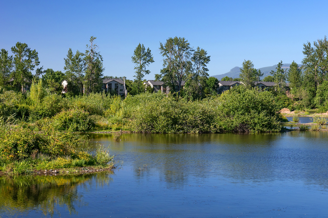 Excellent Quiet Neighborhood along Hike + Bike Trails on Willammette River path! - MODERN FURNISHED QUIET MASTER BEDROOM BATHROOM MINI SUITE with own KITCHENETTE!  WIFI + UTILS Incl Apartments