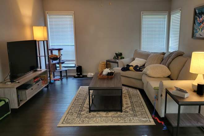 Living Room - Cortland Viridian