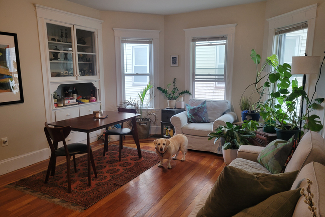 Main living/dining room - Quaint Apartment in Teele Square!