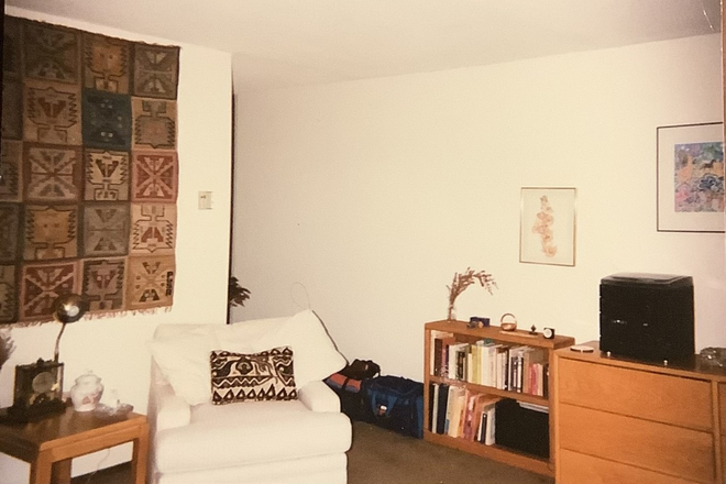 Main living area - Coolidge Corner Condo in Luxury Building near Longwood Medical Area and BU Campusl