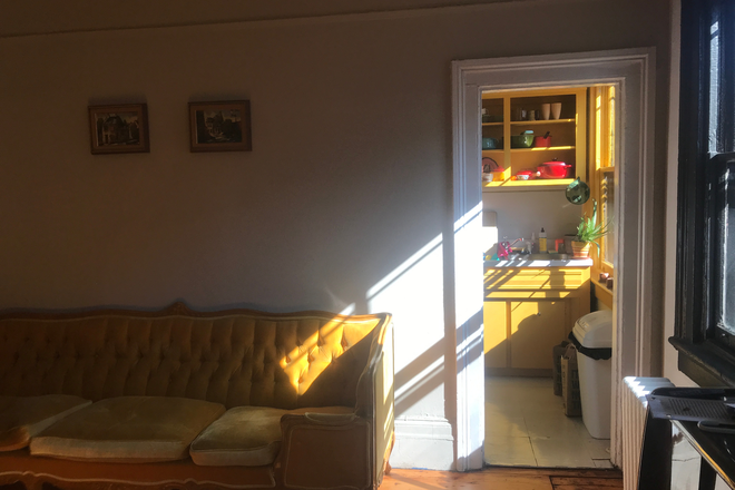 Living Room - Charming pre-war apartment close to NYU main campus