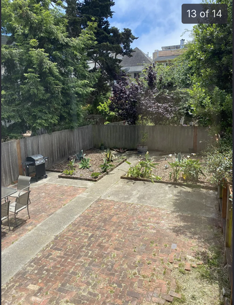 Backyard - 1 bedroom available in 4-bed victorian apartment with backyard and washer/dryer