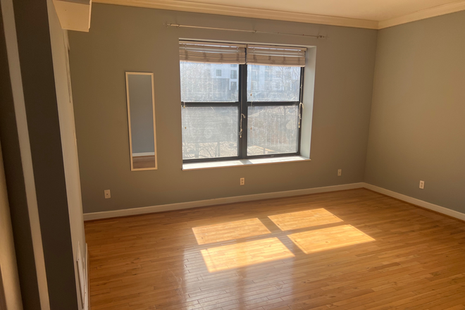 Sunny living room - Perfect Location Apartment