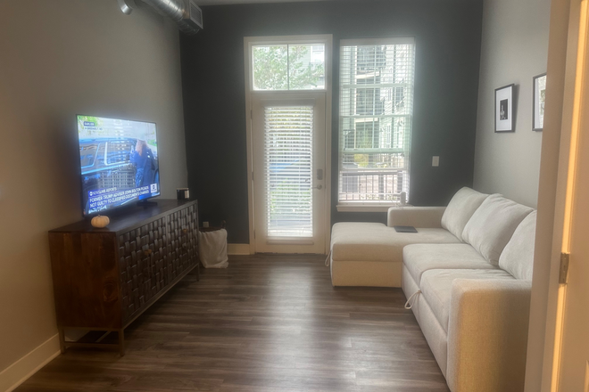 Living Area - Beautiful, Furnished 1 bed 1 bath at the Foundry South