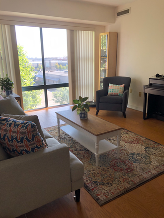 Living Room - Apt walking dist to MIT, next to 2 libraries, blue bike, star market, bus ride to Harvard