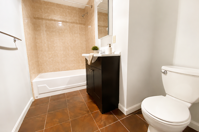 1 - GROUND LEVEL  Renovated 2 bath laundry in unit Avail 9/1 Apartments