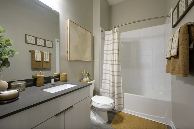 Bathroom - The Metropolitan Gainesville Apartments