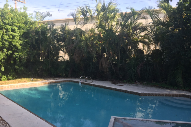 Pool  At one of the properties - House to share in walking distance from FAU