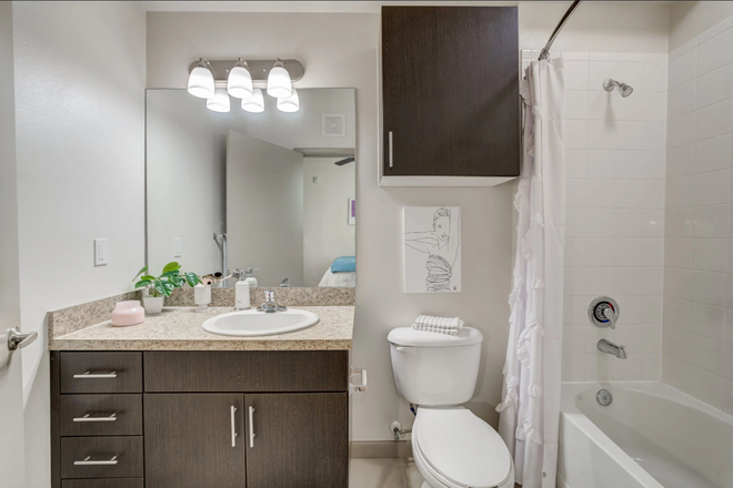 Bathroom - Lark Central Florida Apartments