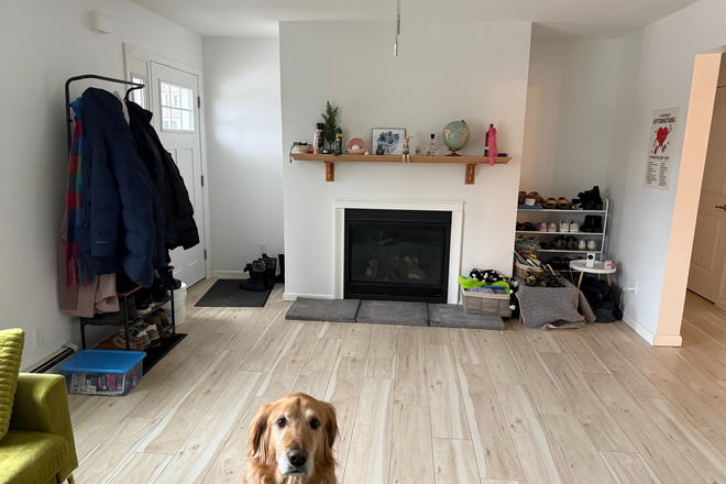 Fireplace in Living Room - 2 Bedrooms with Private Bathrooms Available in Windham/Willimantic House