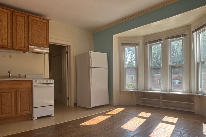 Living room, kitchen, and dinning area - Downtown Amherst, Apartment available for rent
