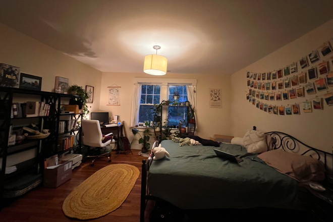 Bedroom - Lovely room in shared upper floor apartment, .75 miles from Med School/Academic Village