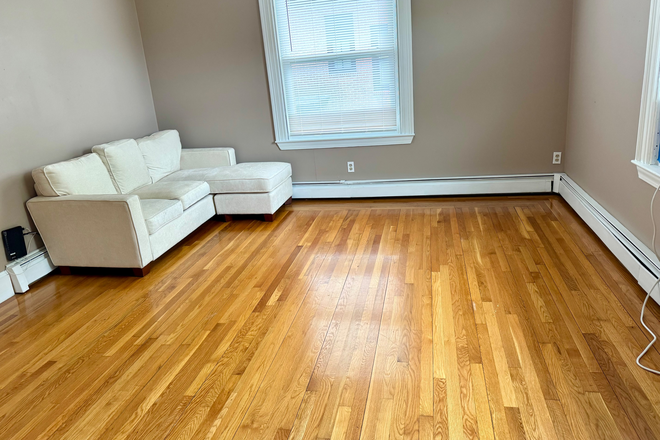 Living / BedRoom - Spacious and Bright Studio Apartment. Walk to Brown