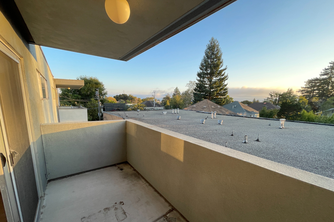view - Amazing 1 Bedroom in Charming 3 Bed/1 Bath - Trader Joes/Northside/BART