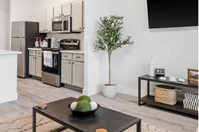 Living Room - SIUE Female Student Housing – Parc at 720 Relet – $775/month – Available Aug. 21 1st month free Apartments