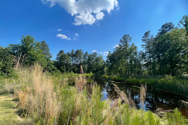 View from back of the house - 1BR in Furnished Townhouse | $800/mo | Mid-June – July 31 | 12 min to Duke Campus