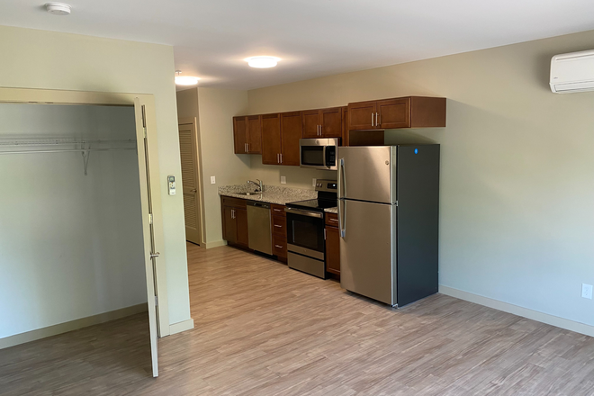 Full kitchen view - 1 UDS Unit 316 (Studio)