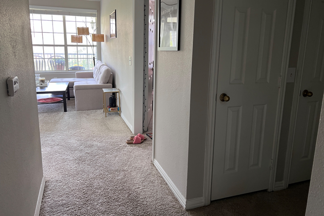 Living room - Lanesborough Apt: Spacious quaint 2B2B apt