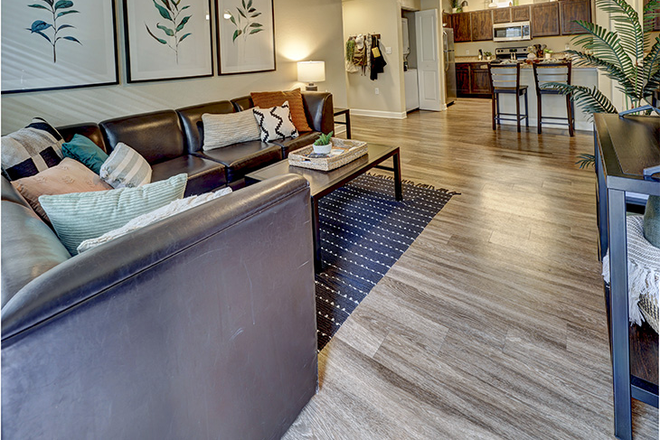 Living room - The Nest Apartments