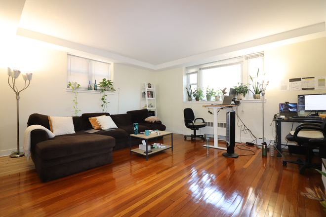 living room - Sunny Brookline Gem Steps Away from the Green Line (C Train) Apartments