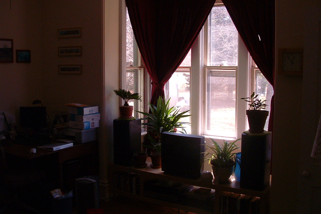 Livingroom windows face south.  Great for plants and humans. - LARGE 2 Bedrm Apt Available in Old Farmhouse with Character on10 acres! 4 Miles to Campus. Private