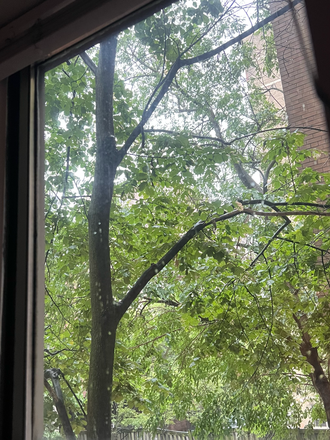 Gorgeous, serene kitchen window view - 5 min UofT Campus Walk, Student Dream, Spacious 1-Bedroom, Furnished Apartments