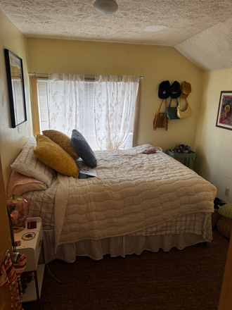 Just one room in the house - Fox management Condo