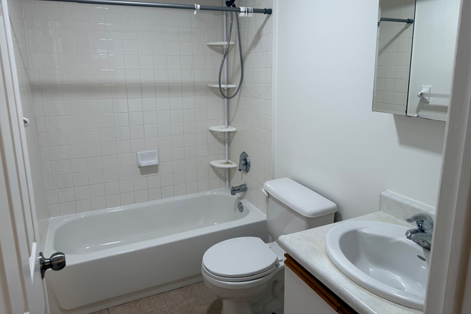 Four piece washroom - Spacious bright basement  bachelor apartment