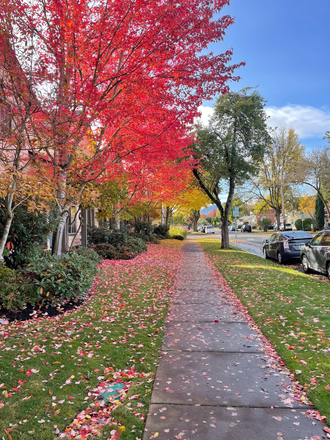 Street View - AG Camps Townhouse, 2 blocks from campus