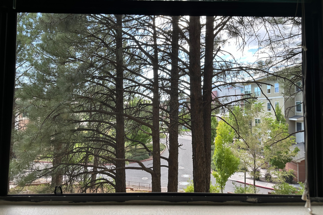 Window facing West - Spring '26 Re-Let at The Suites: 1/1 - 5/8/26. 2 bdr, 1 bth private. Female. Offering Incentive.