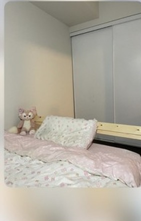room for rent with big closet - Preferably Female, One spacious room  in a 2- bedroom one year lease, Down Town tor