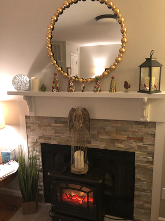 Fireplace in living room - Roommate Wanted Flexible Lease Term in Quiet Condo Community