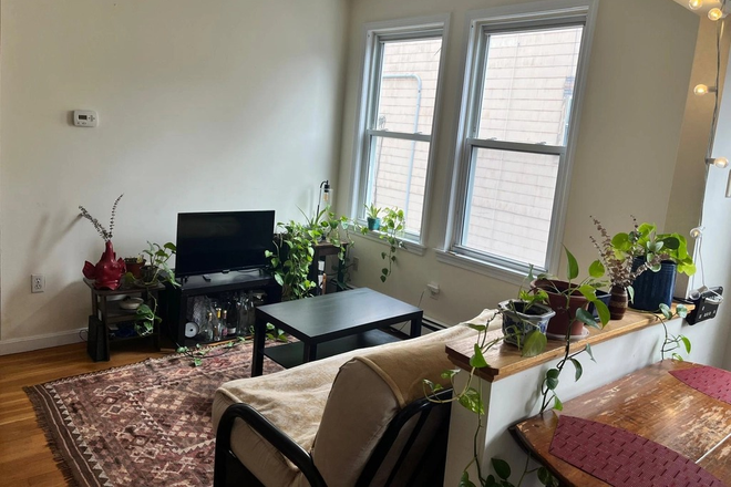 Living room: futon couch, lots of plants, lots of light - 2nd floor apartment in a 3-floor house