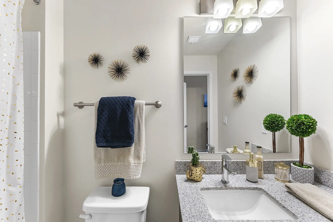 bathroom is actually bigger - The Standard at Boone Apartments