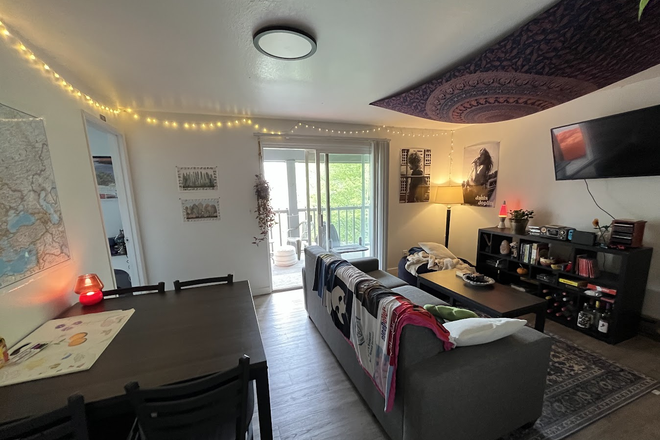 Living room - Close to campus apartment sublet (summer 2026)