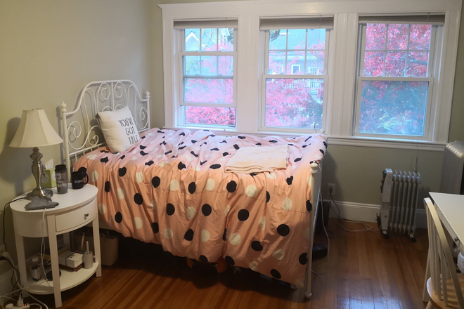 Sunny Tree Lined Bedroom - Female Grad/Prof, Seek Female Roommate for Great Apartment