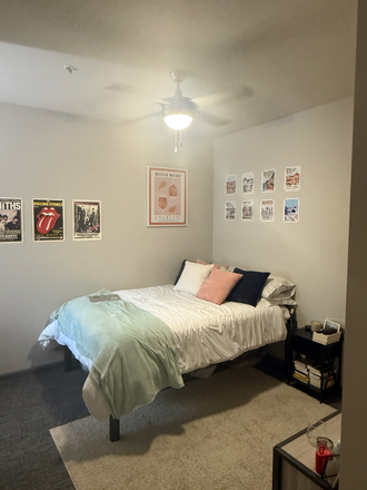 Bedroom D in the D2 model - The Union on Fletcher- Summer Sublet- Dates flexible