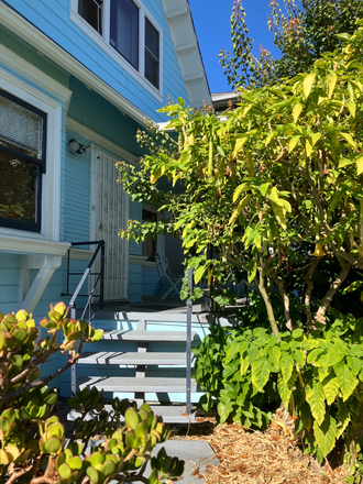 entry - Beautiful sunny 2-3 bedroom N Oakland flat