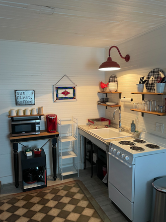 Kitchen includes electric oven, microwave & kitchen utensils - Entire 480 sq. ft cottage. 2 blocks off Magazine Street. Fully Furnished & utilities included! Apartments