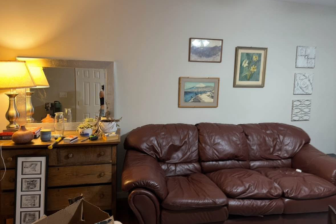 Living Room (2 couches, tv, dining room table) - Subletting 1 Room in 2 Bedroom Townhouse (Spring 2026)